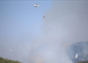 Bodrum’da çıkan orman yangınına havadan ve karadan müdahale ediliyor
