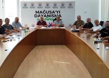 Salamis Port Shipping Ltd. elleçleme işlemleri için ihalenin yerel yapılmasını istedi