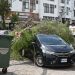 Kısa süreli şiddetli yağış hasara neden oldu