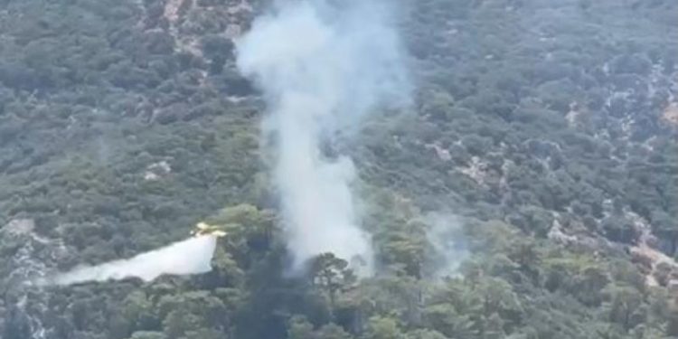 Muğla’nın Milas ve Ortaca ilçelerinde orman yangını