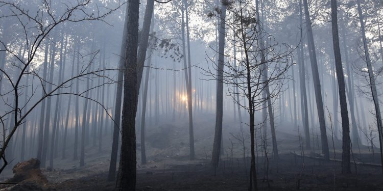 Yumaklı: “Muğla Ula ve Yatağan’daki yangınlar kontrol altına alındı”