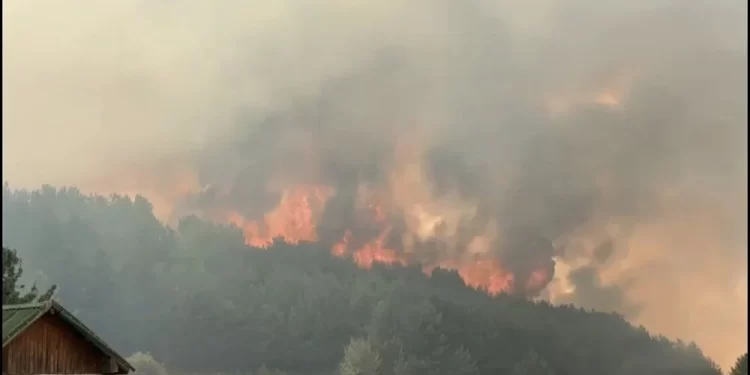 Türkiye’de yaşanan orman yangınlarına müdahaleler sürüyor