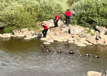 Narin Güran’ın ölü bulunduğu Eğertutmaz Deresi’nde yeniden inceleme yapıldı