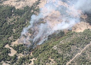 Antalya’nın Kaş ilçesinde orman yangını çıktı
