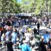 29. Geleneksel Alevkayası Yayla Festivali pazar günü yapılıyor