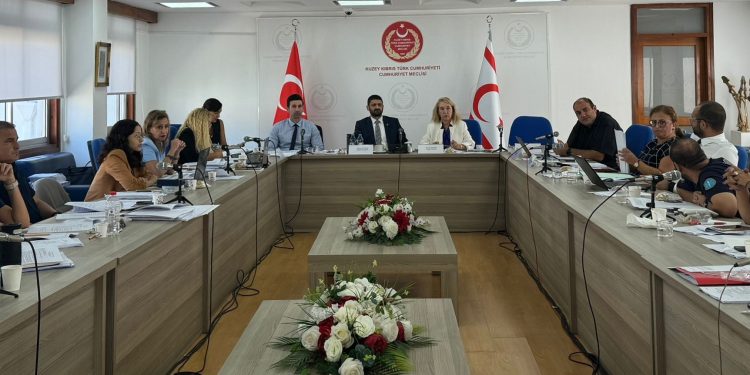İdari Komite, Sağlık Hizmetleri Dairesi (Kuruluş, Görev ve Çalışma Esasları) Yasa Tasarısı’nı görüştü