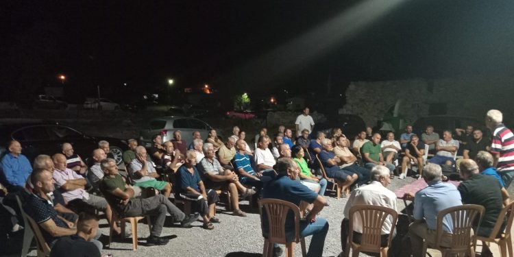 Harup üreticileri Zeytin Koop çatısı altında örgütlenme kararı aldı