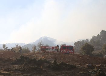 Denizli’de 24 Ekim’de başlayan orman yangınına müdahale sürüyor