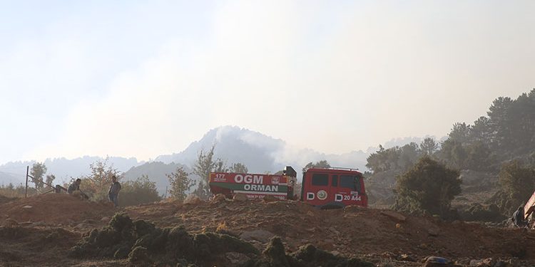 Denizli’de 24 Ekim’de başlayan orman yangınına müdahale sürüyor