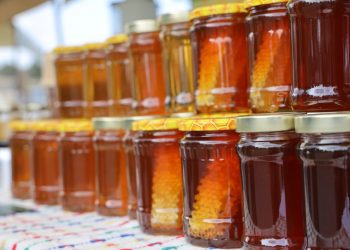 İskele Belediyesi Topçuköy 3. Bal Festivali pazar günü yapılacak