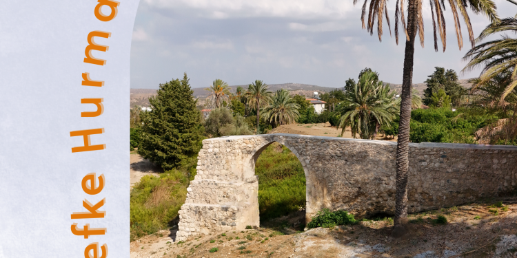 15’inci Lefke Hurma Festival 3 Kasım’da yapılıyor