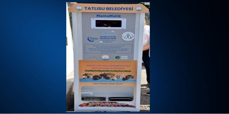 Çevre temiz kalırken sokak hayvanlarının da karnı doyuyor