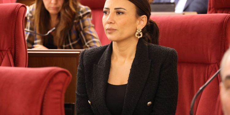 Özdenefe yeniden Cumhuriyet Meclisi Başkan Yardımcısı seçildi