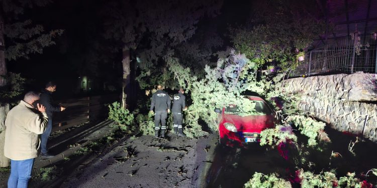 Lefkoşa Kaymakamı Kuyucu:Lefkoşa olarak biz bu olayı diğer bölgelere göre daha hafif atlattık,herhangi bir can kaybı yaralanma olmadı