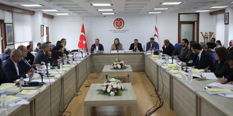 Başbakan Yardımcılığı, Turizm, Kültür, Gençlik ve Çevre Bakanlığı bütçesi görüşülüyor