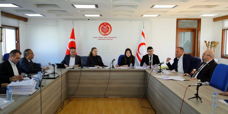 2025 Mali Yılı Bütçe Yasa Tasarısı bugün komitede ele alınmaya başlanıyor