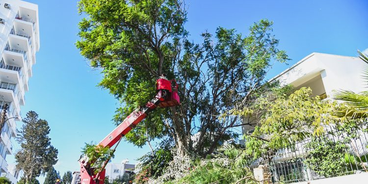 LTB acil müdahale ekipleri sahada çalışmalarına devam ediyor
