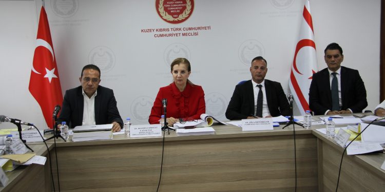 BRTK bütçesi oy çokluğuyla onaylandı