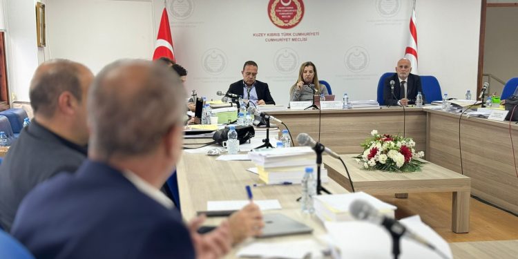 Komitede Türk Ajansı Kıbrıs ve Sivil Savunma Teşkilat Başkanlığı bütçeleri kabul edildi