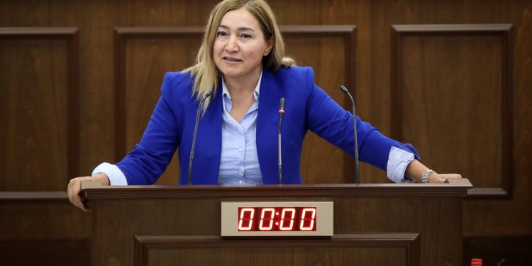 UBP Milletvekili Yasemin Öztürk:Birden fazla mühürlü 3 oy pusulasının 2 tanesi geçersiz, 1 tanesi  geçerli