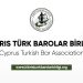 Barolar Birliği: “İnsan haklarına saygı, barış, eşitlik ve adaletin temelidir”