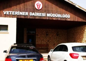 Veteriner Dairesi Müdürlüğü’nden üreticilere duyuru