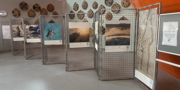 SPOT Marine Life, Kıbrıs’ın deniz kaplumbağalarını havalimanında tanıtıyor