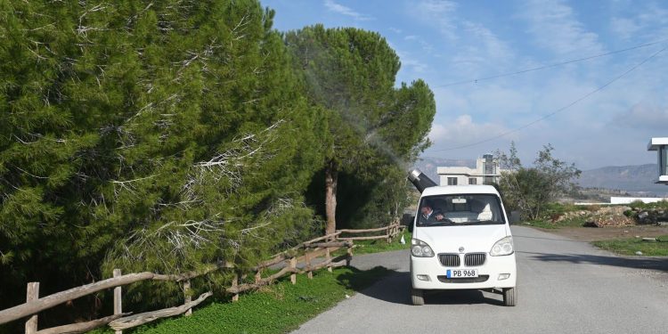 Gönyeli-Alayköy Belediyesi, çam kese böceğine karşı çalışmalarını sürdürüyor