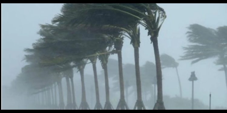 Başbakanlık Afet ve Acil Durum Komitesi’nden şiddetli fırtına duyurusu