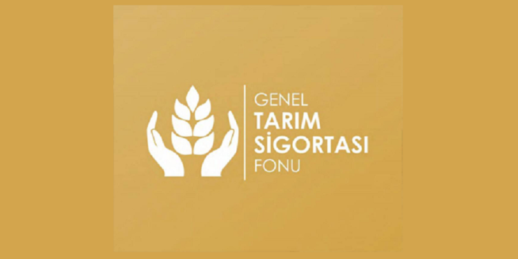 Ekilen/dikilen ürünler için bir gün ek beyan alınacak