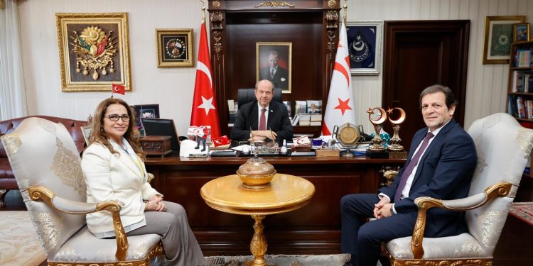 Cumhurbaşkanı Tatar, Kandilli Rasathanesi ve Deprem Araştırma Enstitüsü Müdürü Özel’i kabul etti
