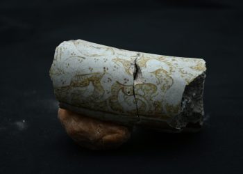 Hasankeyf’deki kazıda Anadolu parsına ait olabilecek figür bulundu