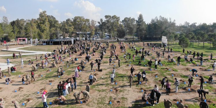 “El ele yeşil bir geleceğe” sloganıyla ağaçlandırma bayramı düzenlendi