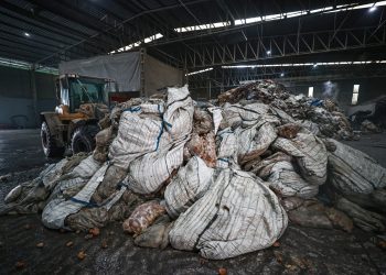 Bitki hastalığı tespit edilen patateslerin Mersin’de imhası sürüyor