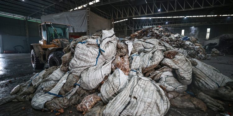 Bitki hastalığı tespit edilen patateslerin Mersin’de imhası sürüyor