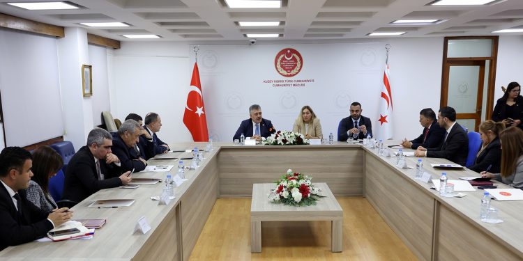 Meclis Hukuk, Siyasi İşler, Dışilişkiler ve Güvenlik Komitesi ile TBMM Güvenlik ve İstihbarat Komisyonu toplantı yaptı