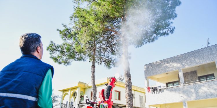LTB’nin çam kese böceğiyle mücadelede biyolojik ilaçlama çalışmaları başladı