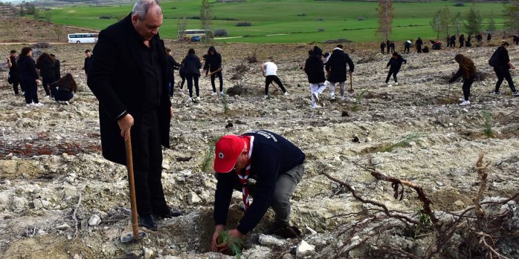 Gençlik Dairesi organizasyonunda 550 fidan ekildi
