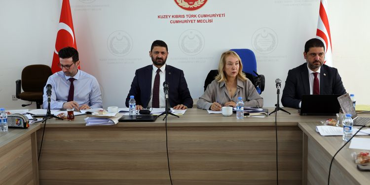 Sağlık Hizmetleri Dairesi Yasa Tasarısı komitede ele alınıyor