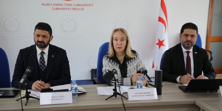 İdari, Kamu ve Sağlık İşleri Komitesi Sosyal Hizmetler Dairesi Yasa Tasarısı’nı görüşmeye devam etti