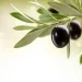 32 zeytin ve zeytin ürünü işletmesine kayıt belgesi verildi
