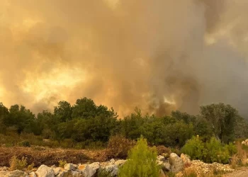 Antalya’da ormanlık alanda çıkan yangına müdahale ediliyor