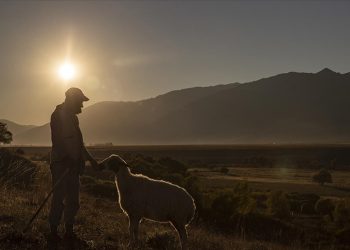 Türkiye’nin nüfusu artarken kırsalda nüfus azalıyor