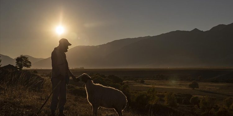 Türkiye’nin nüfusu artarken kırsalda nüfus azalıyor