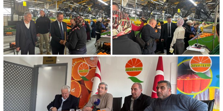 Başbakan Üstel, Cypfruvex’i ziyaret etti, çalışmalarla ilgili bilgi aldı …Cypfruvex Yönetim Kurulu narenciye ürün alım bedellerinin taban fiyatlarını açıkladı