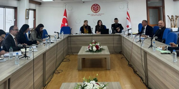 Ekonomi, Maliye, Bütçe ve Plan Komitesi iki tasarıyı onaylayarak Meclis’e sevk etti