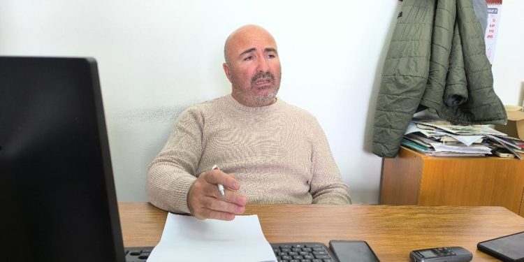 Yükselen değer “zeytincilik”…Şifa kaynağı kadim ürün zeytine talep tüm dünyada artıyor