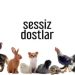 Sessiz Dostlar 09.02.2025