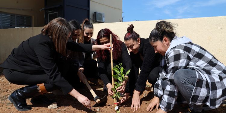 İskele Belediyesi, 8 Mart Kadınlar Günü dolayısıyla bölgede yaşayan kadınlara fidan hediye etti