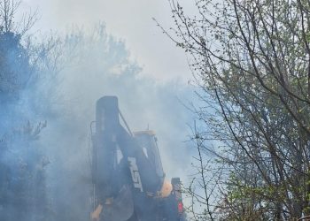 Türkiye’nin Yalova ilinde ormanlık alanda yangın…